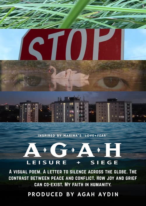 Leisure + Siege