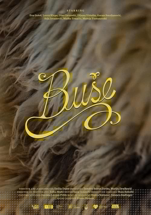 Buše
