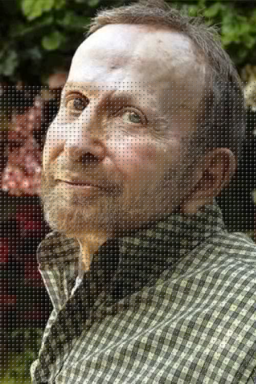 Johnny Mandel