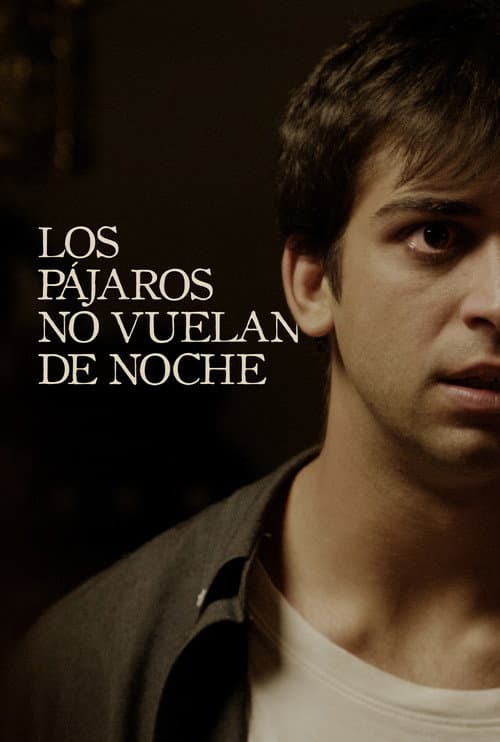 Los pájaros no vuelan de noche