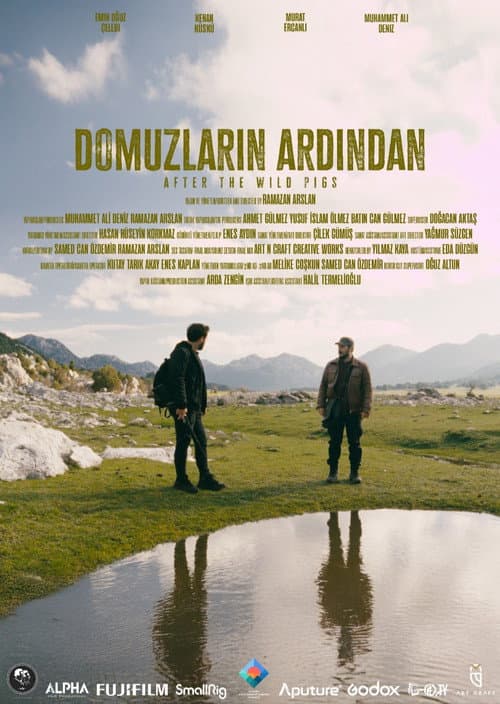 Domuzların Ardından