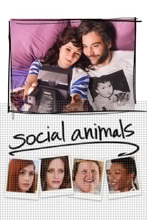 Social Animals