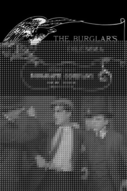 The Burglar’s Dilemma