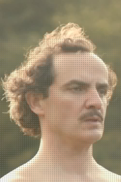 Laurent Nicolas