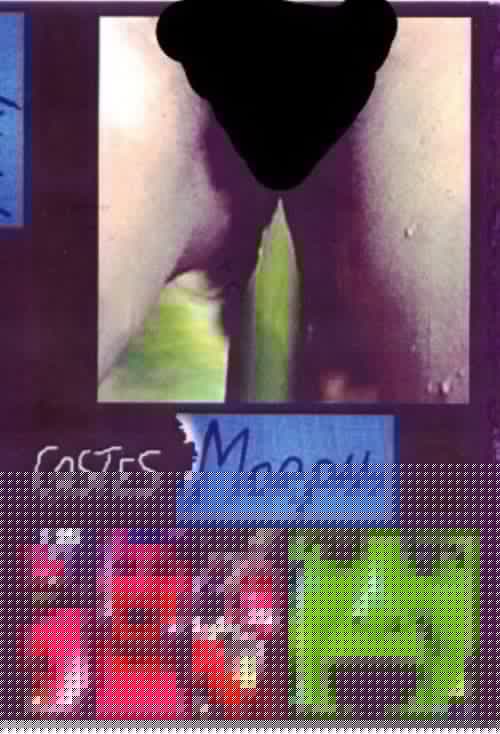 Morpho