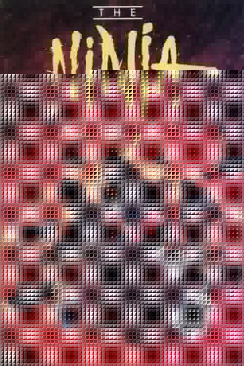 The Ninja Mission