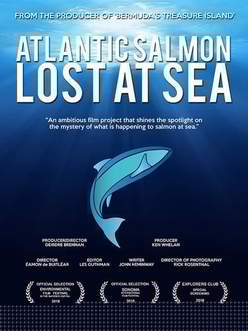 Atlantic Salmon: Lost at Sea