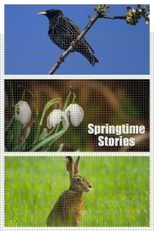 Frühlingswelten
