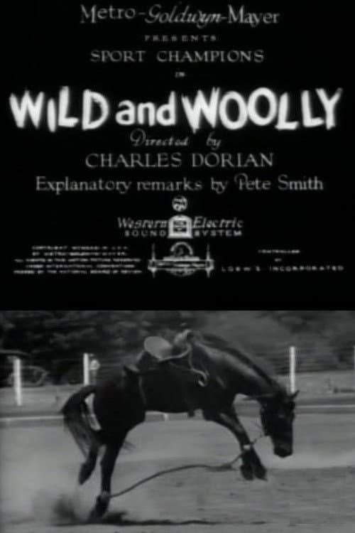 Wild and Woolly