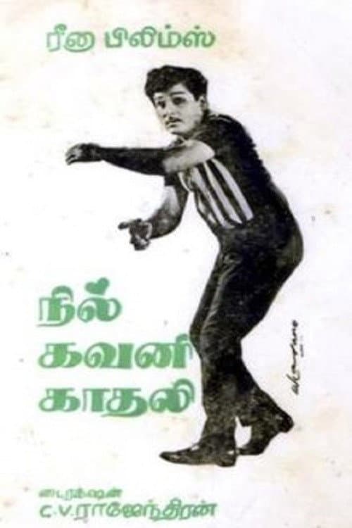 நில் கவனி காதலி