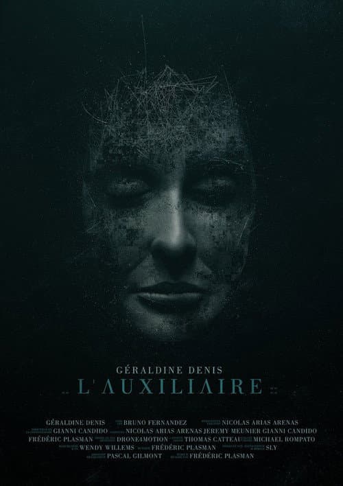 L'auxiliaire