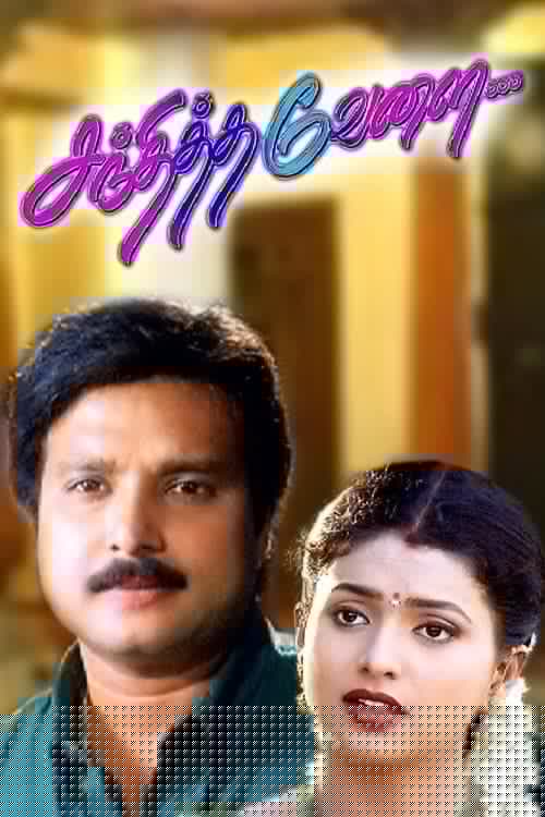 சந்தித்த வேளை