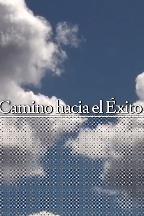 Camino hacia el éxito