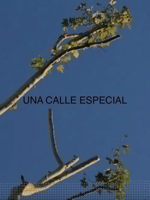 Una Calle Especial