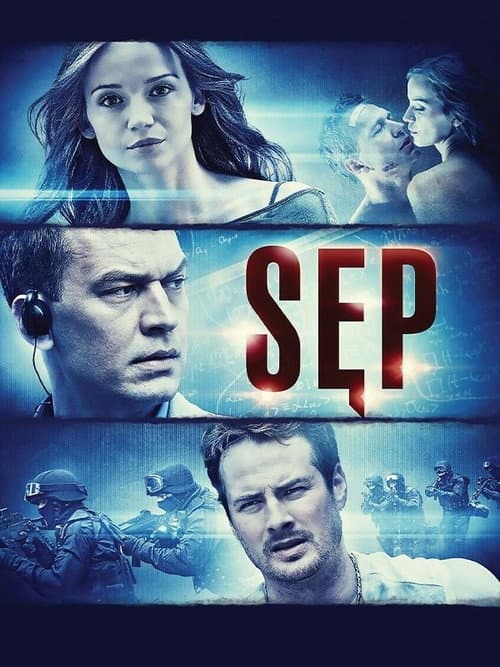 Sęp