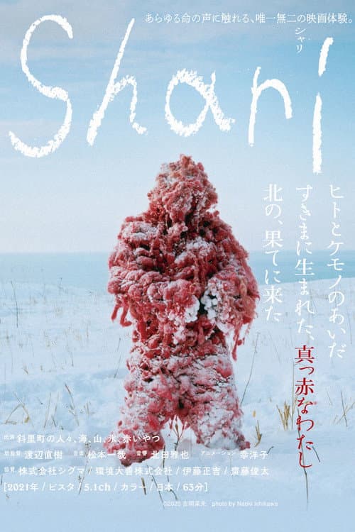 シャリ