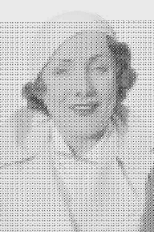 Myrtle Reeves