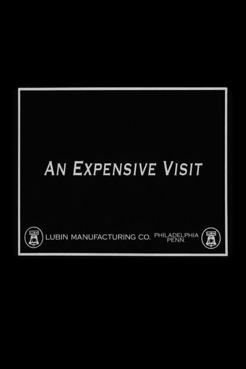 An Expensive Visit