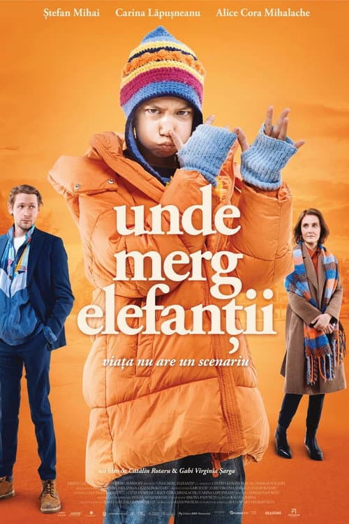 Unde merg elefanții