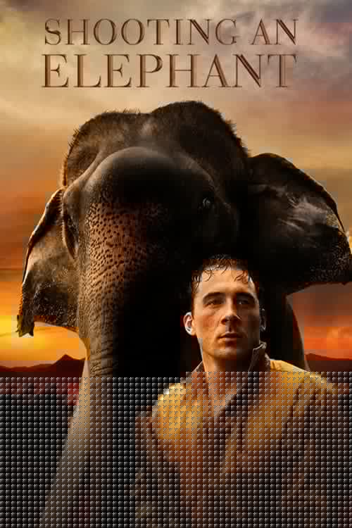 Shooting an Elephant