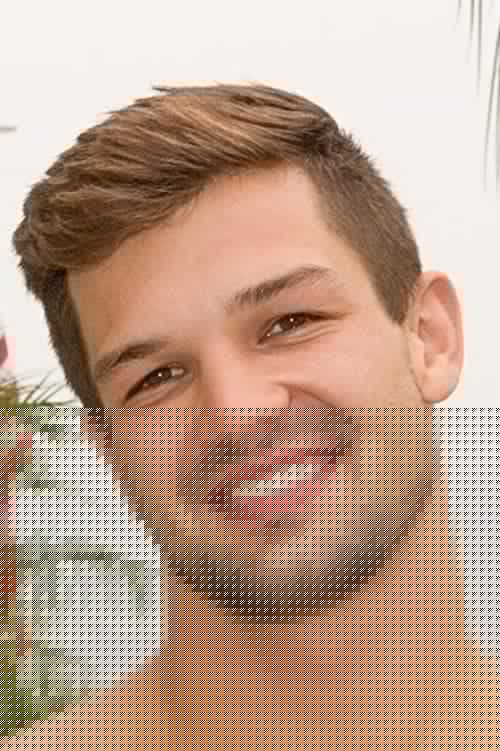 Brysen