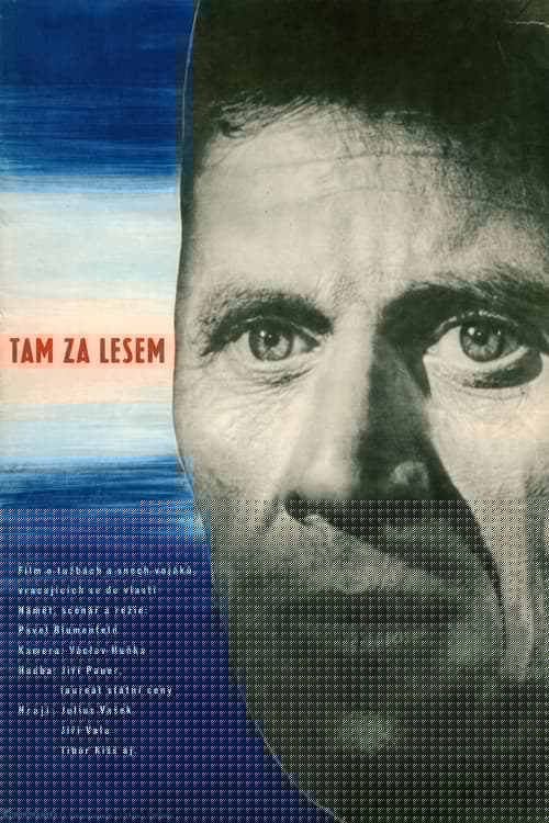 Tam za lesem