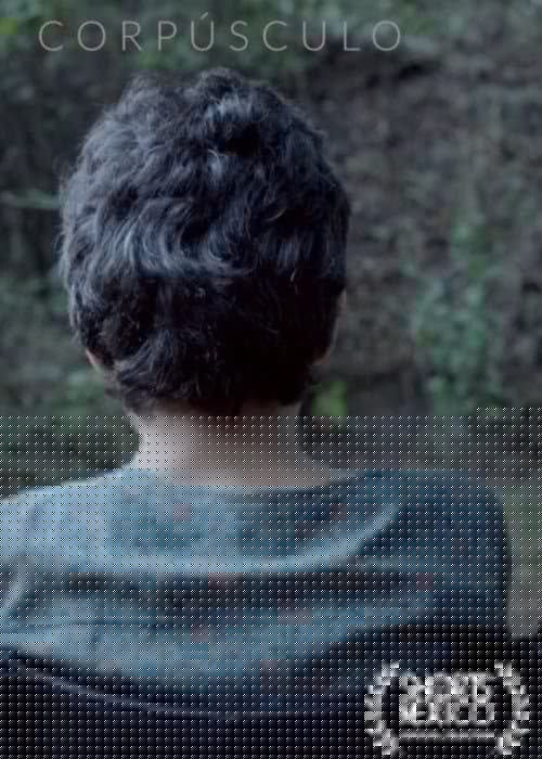 Corpúsculo