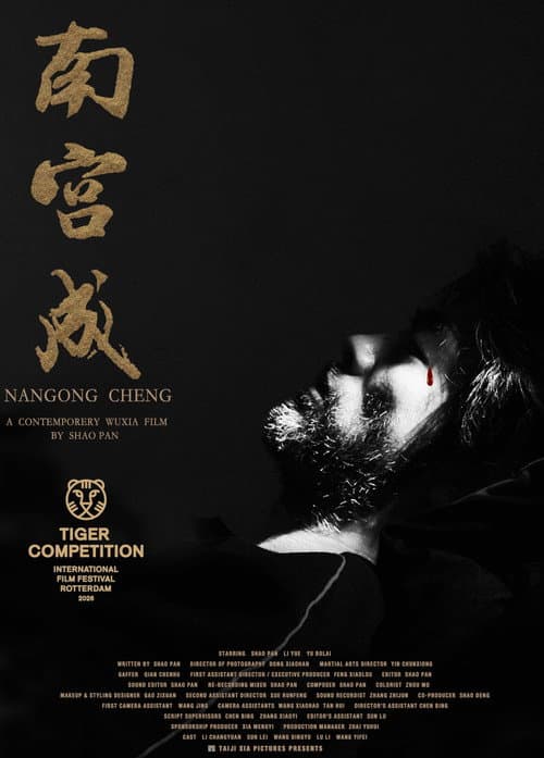 南宫成