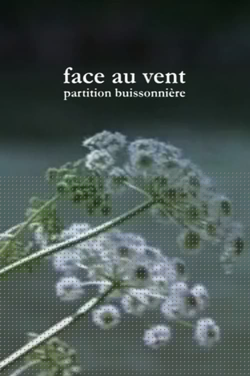 Face au vent, partition buissonnière