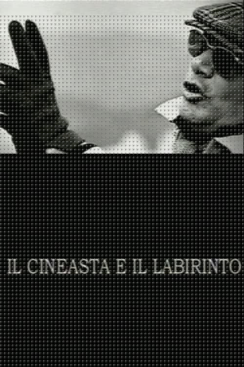 Il cineasta e il labirinto