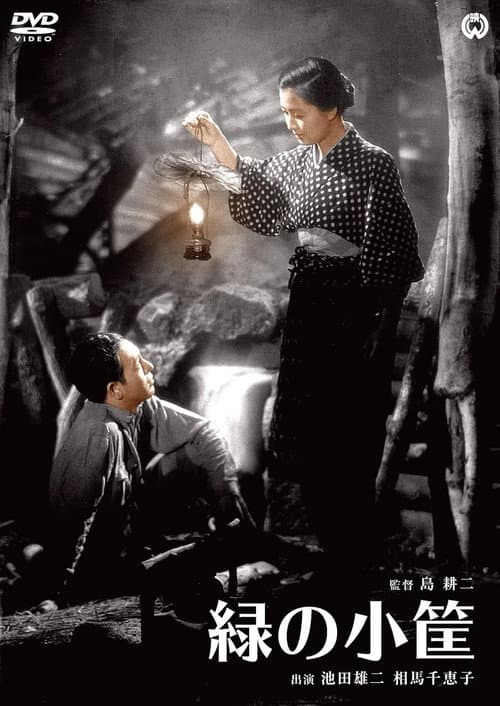 緑の小筐