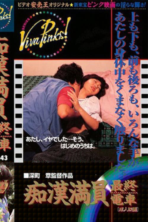 痴漢最終電車