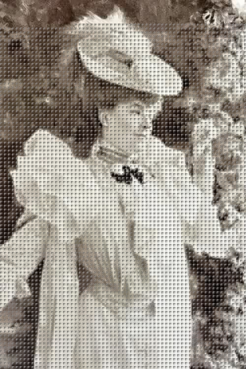 Julia Bartet