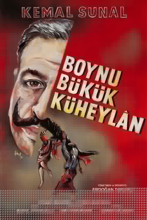 Boynu Bükük Küheylan