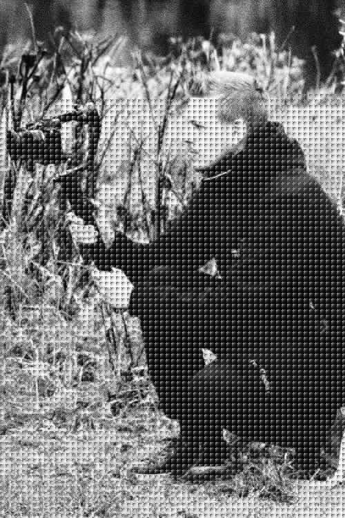 Stig H. M. Pedersen
