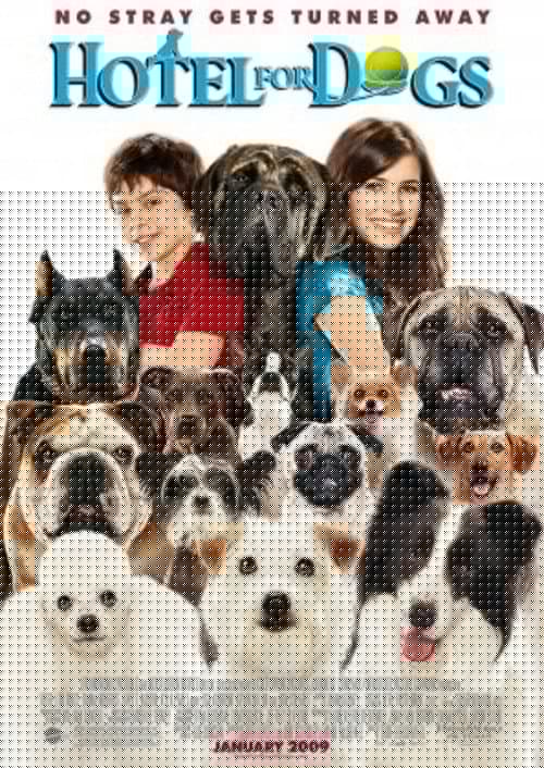 A Home for Everyone: The Making of 'Hotel for Dogs'