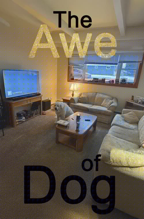 The Awe of Dog