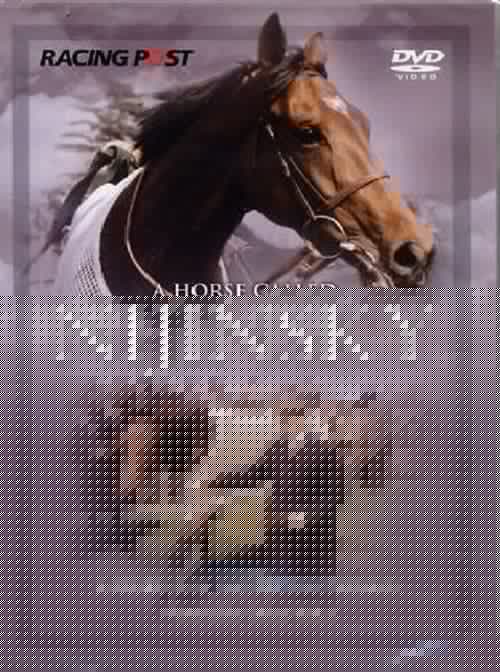 A Horse Called Nijinsky