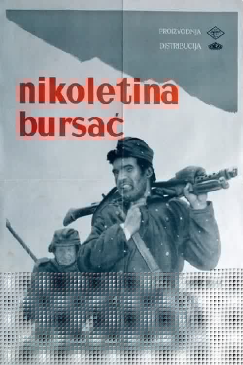 Nikoletina Bursać