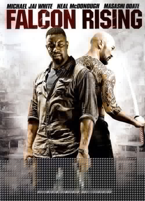 Falcon Rising