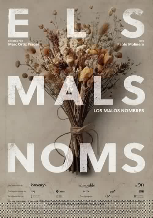 Els mals noms