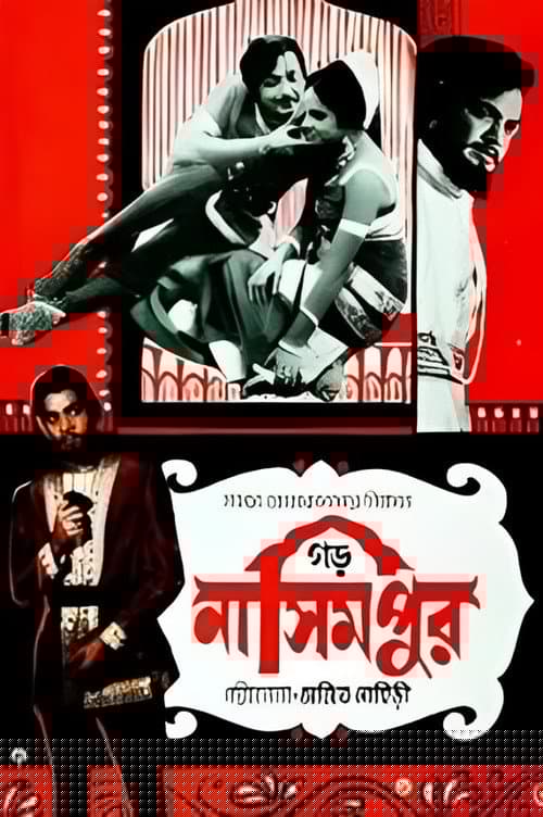 গড় নাসিমপুর