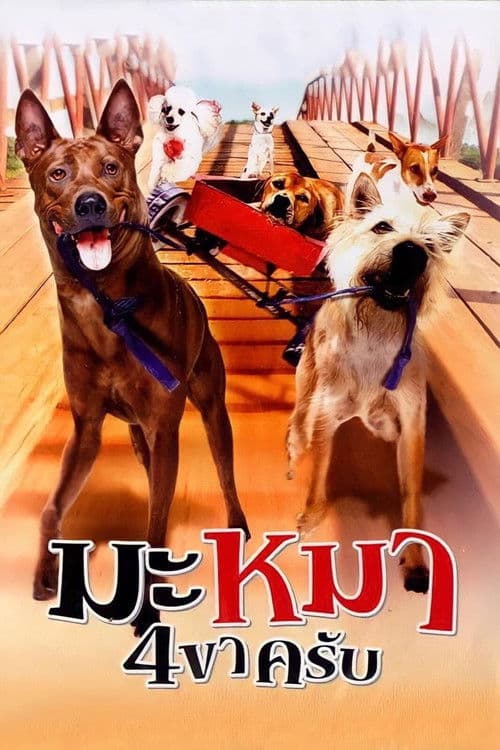 Gang de chiens