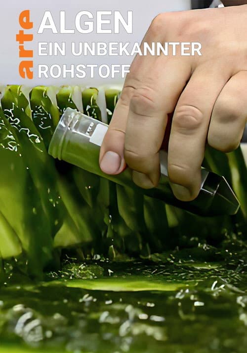 Algen: Ein unbekannter Rohstoff