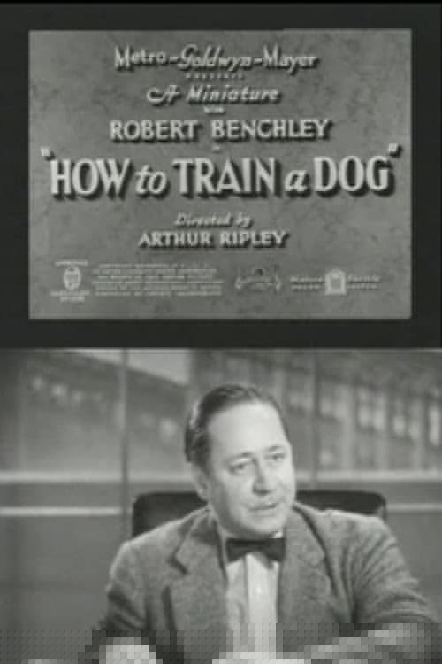 How to Train a Dog