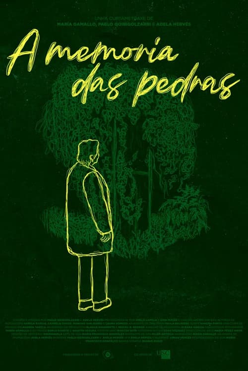 A memoria das pedras
