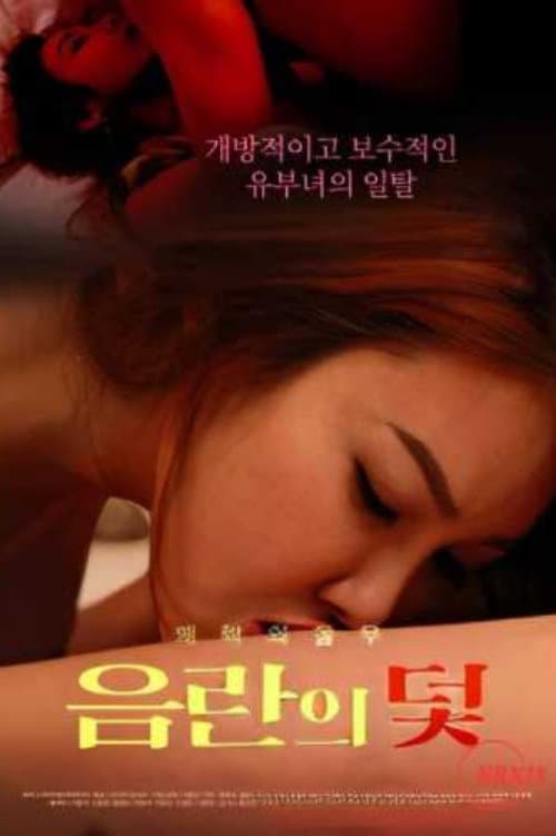 음란의 덫