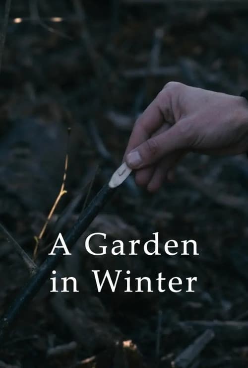 Jardin en hiver