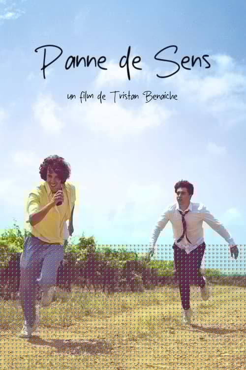 Panne De Sens