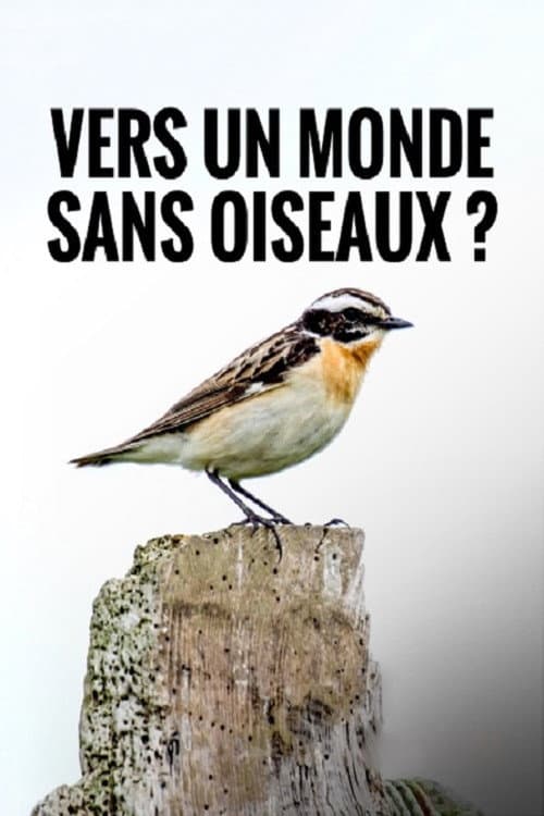 Vers un Monde Sans Oiseaux ?